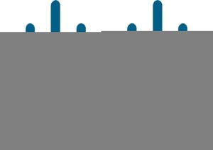 cisco dns服务器配置-