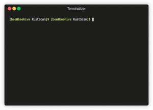 RustScan 快速好用的网络端口扫描工具-