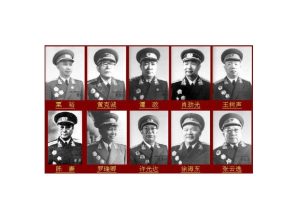 最新排名与特点概览-