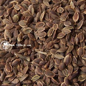 低价优质的香港千兆VPS服务大盘点-