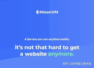 台湾VPS全面评测：速度、稳定性、功能与性价比深度解析-