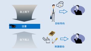 实用性与性价比全面考量-