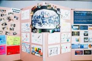 深入探究动态VPS性能特点-