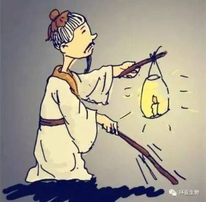 多角度呈现不同VPS服务提供商的实测报告-