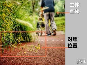 深度评测：虚拟专用服务器软件的优缺点及功能解析-