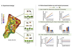 多维度探讨VPS的特点与优势-