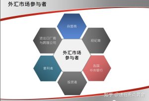 全面解析外汇虚拟专用服务器性能、速度、稳定性及价格-