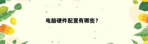 硬件配置及性能表现分析-