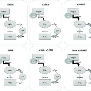 全面剖析VPS在CPU主频方面的实战体验-