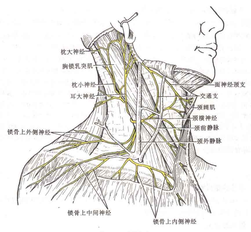 全方位功能体验，发掘更多可能-