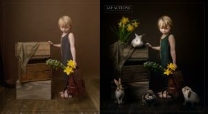 全面对比不同主机方案，助你轻松选购最佳VPS主机。-