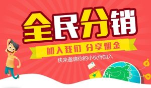 分销策略与盈利模式的探讨-