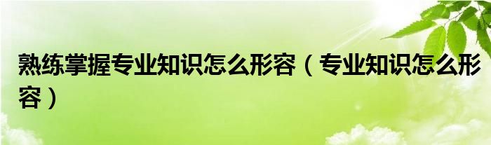 专业可靠的技术支持团队-