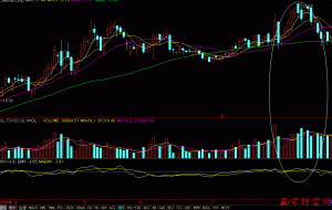 不同配置与价格选择指南-