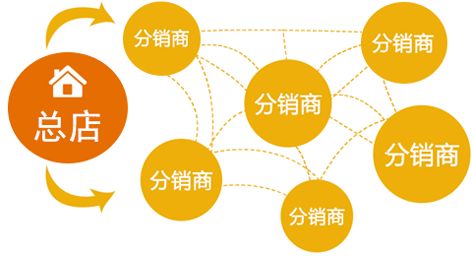 分销策略与市场前景分析