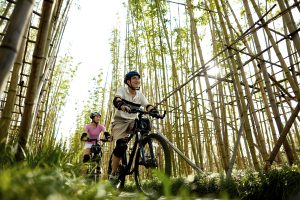 尽享极速体验,特惠VPS主机限时抢购-