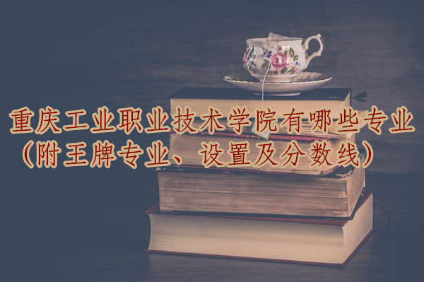 专业重庆VPS主机提供商