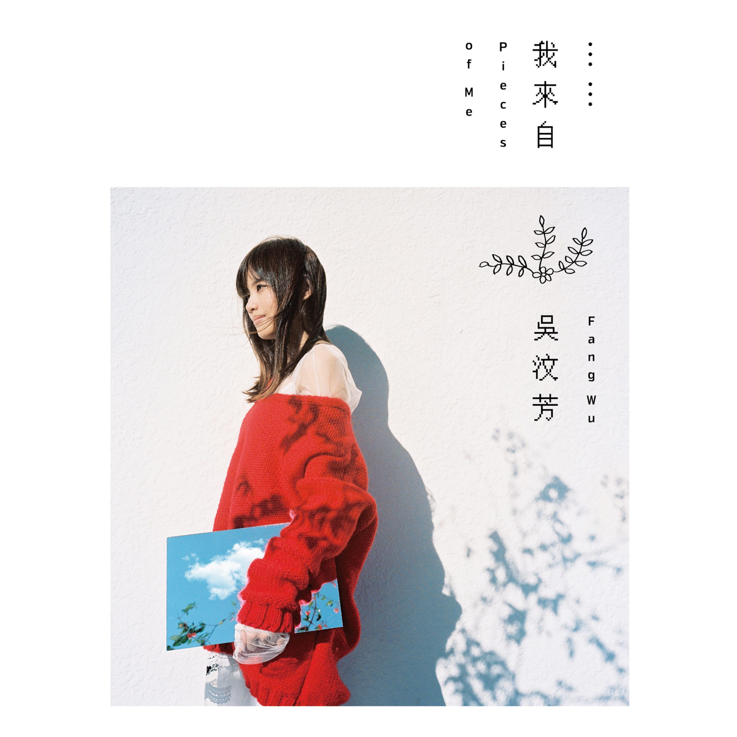 详细指南-