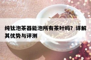 解析其优势与不足-