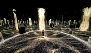 优质体验与实惠价格并存-