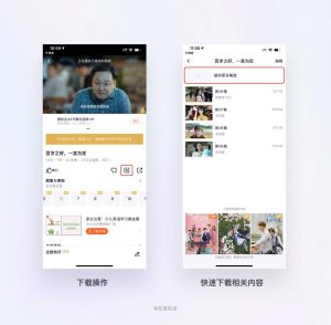 用户真实体验与深度解析-