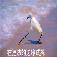 远离非法行为