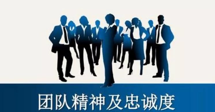 为企业和个人用户提供安全稳定的网络体验