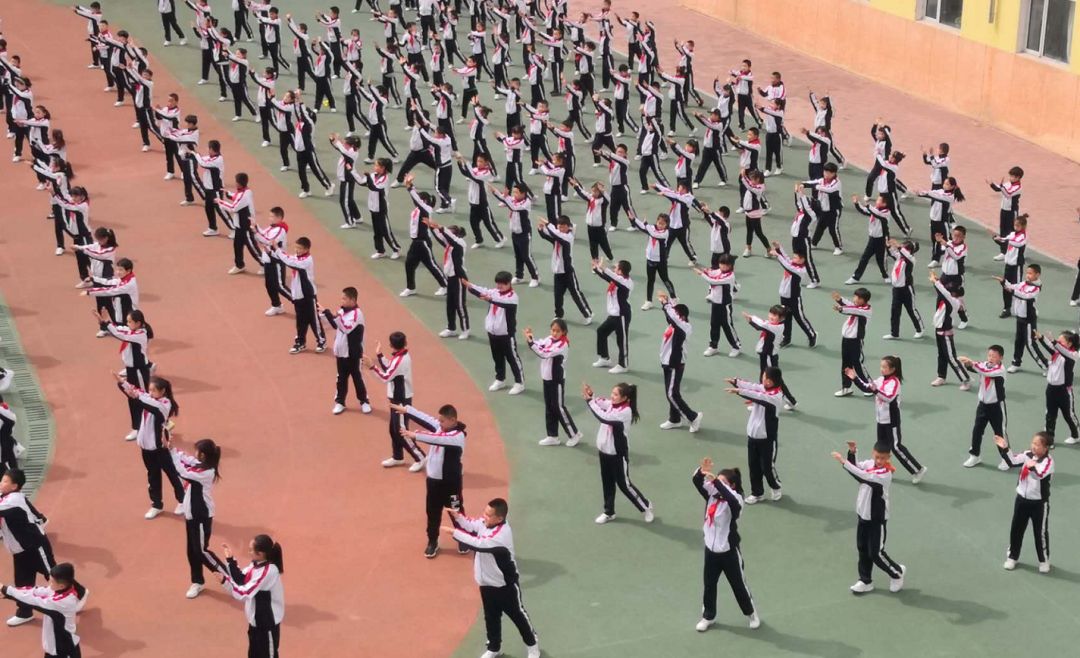 步骤解析与操作指南-