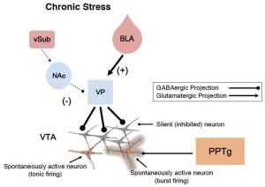 如何判断VPS服务器的质量和可靠性?-