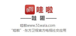 广东VPS租用的最新趋势与需求-