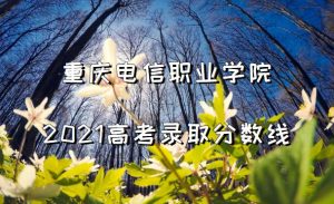 了解重庆电信VPS租用的方方面面-