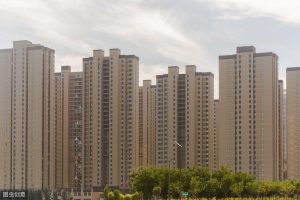 最新市场动态及其前景分析-