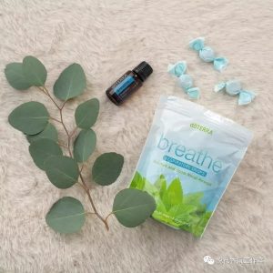 便捷连接，畅享重庆电信优质VPS体验-