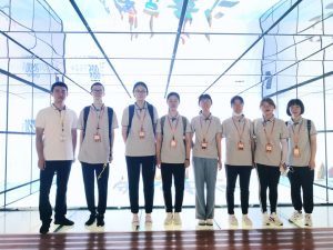 热门需求与实用指南-