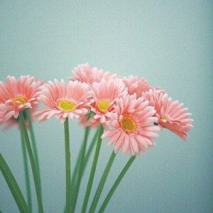 优质、高效与实惠并存-