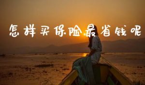 省钱又可靠的国外VPS推荐-