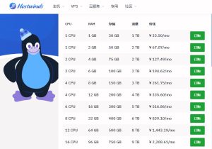 国外VPS运营商概览与特点-