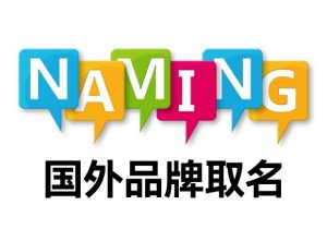 揭秘国外VPS搭建图床全攻略-